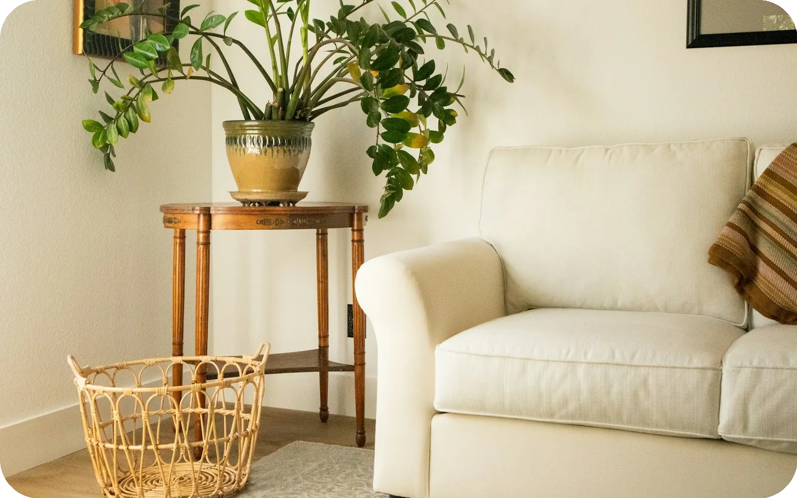 Sillón blanco junto a una planta